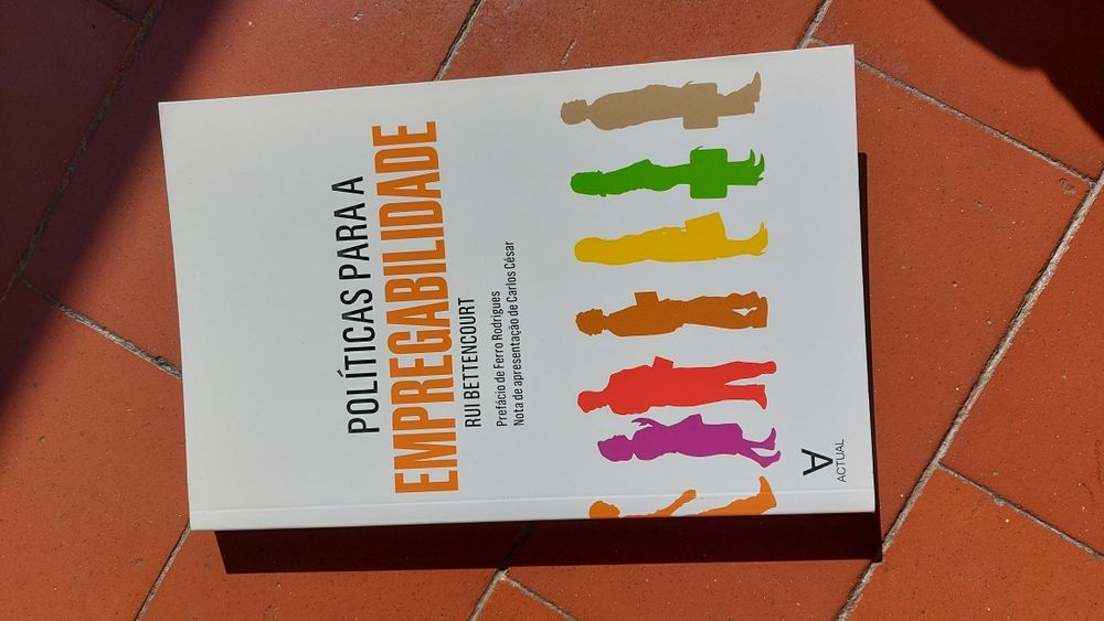 Politicas de empregabilidade