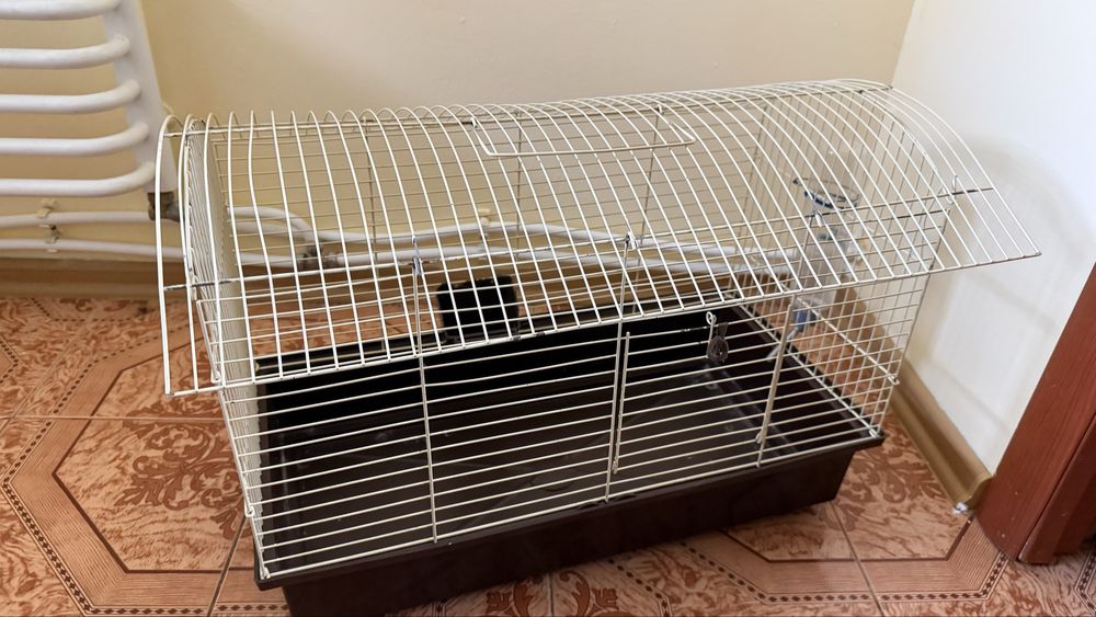 Клітка для гризунів в ідеальному стані