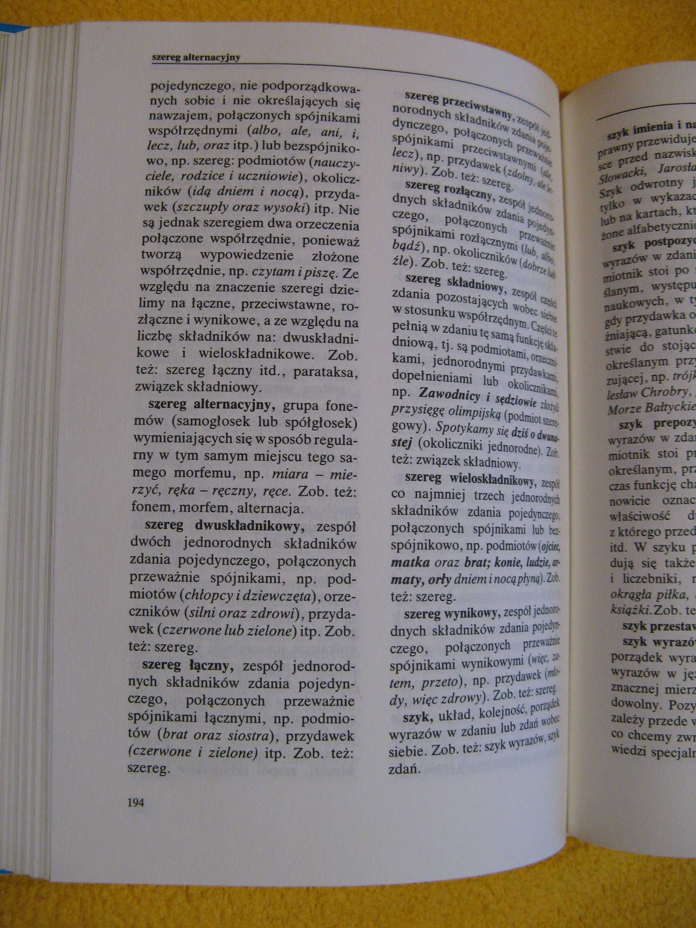 Szkolny słownik nauki o języku