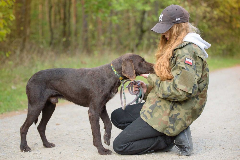 RANGER - w typie wyżeł, dla aktywnych