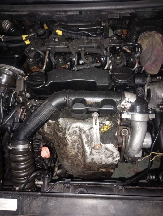 Głowica kpl 1.6hdi citroen peugeot ford