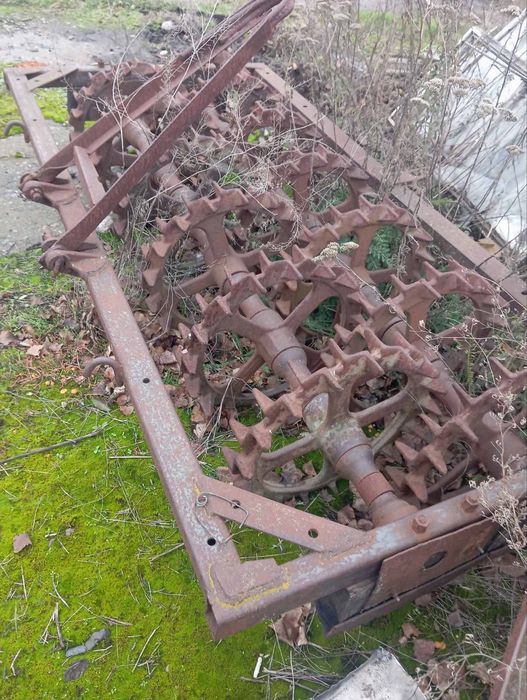 Продам котка 6 шт