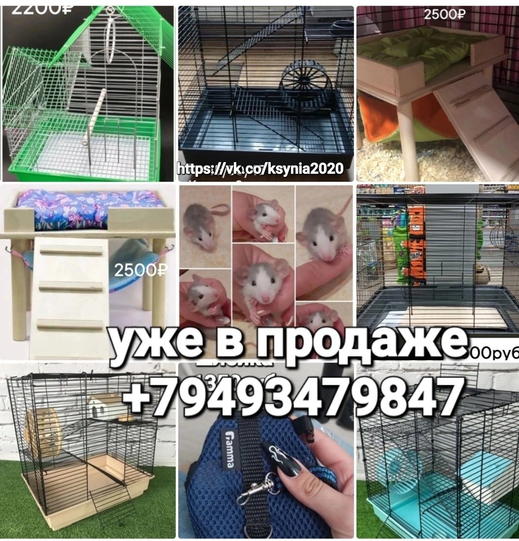 Клетки для грызунов и птиц