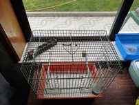 Gaiola para aves