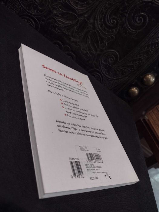 Dispa o seu Stress - Lois Levy