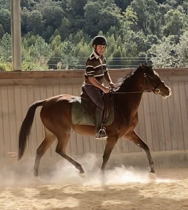 Egua, 4 anos e meio, 1.54 garrote, cruzado portugues e pura raca arabe