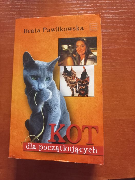 Kot dla początkujących