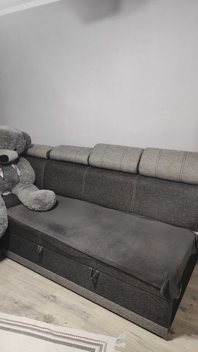 Urzywana rogówka w dobrym stanie