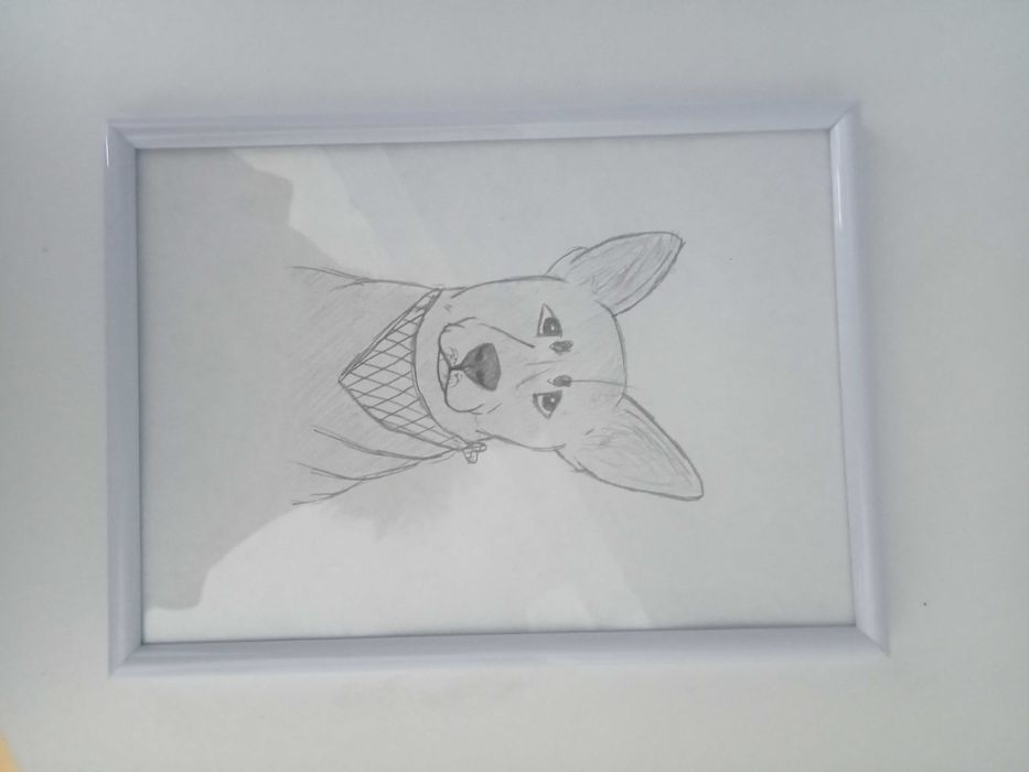 rysunek psa ołówkiem a5