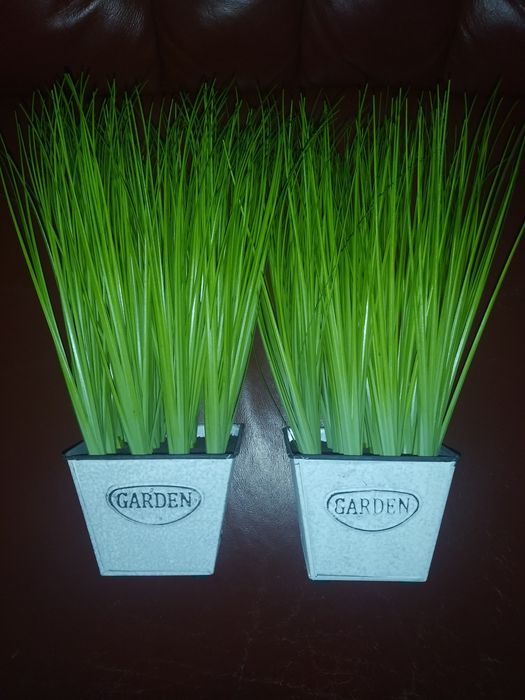 Штучна рослина   .