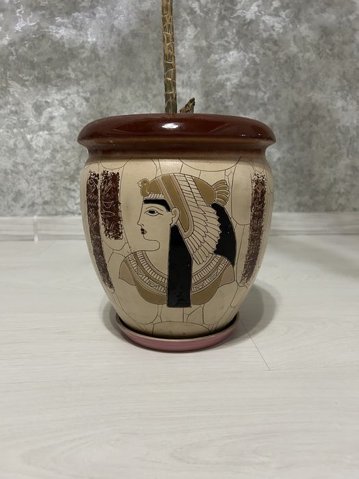 Квіти великі Дроцена широколистная