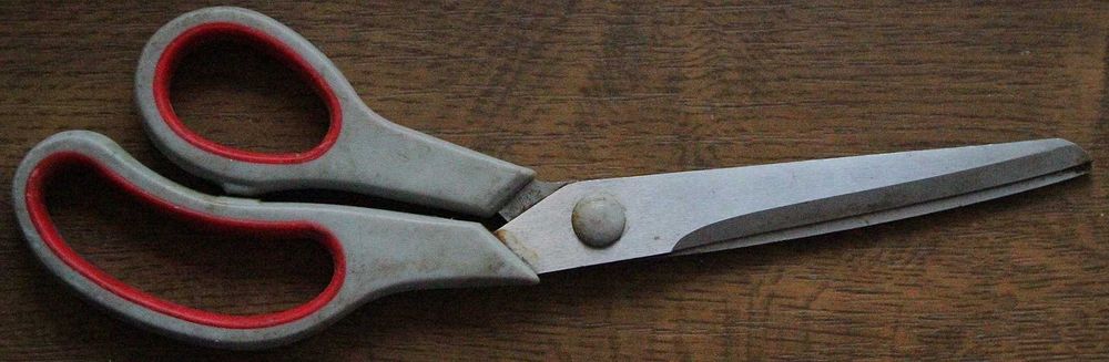 Ножниці домашні, звичайні.