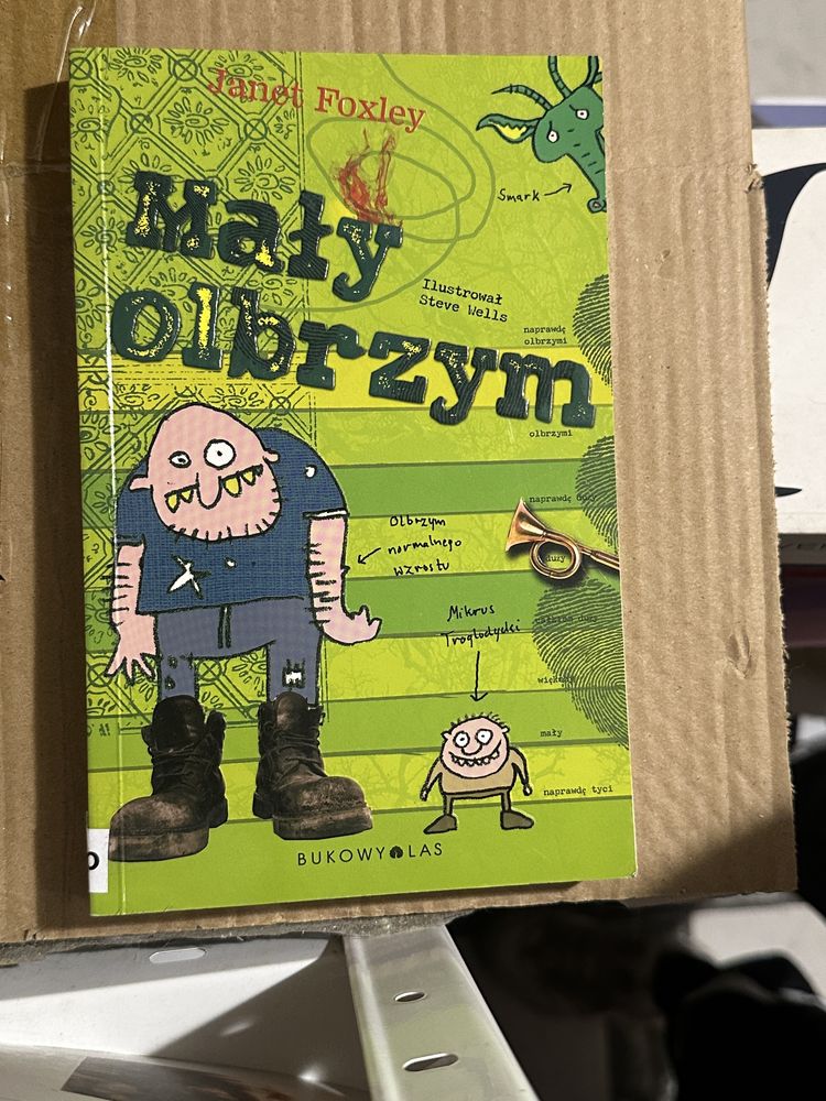 mały olbrzym - janet foxley