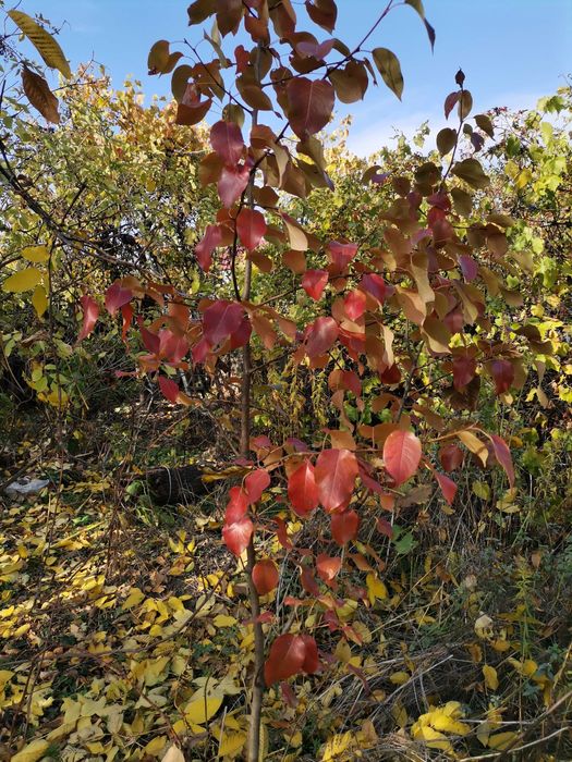 Помощь с поселением пол дома, 2 комнаты.