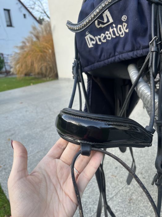 Ogłowie ujeżdzeniowe anatomiczne ANKY