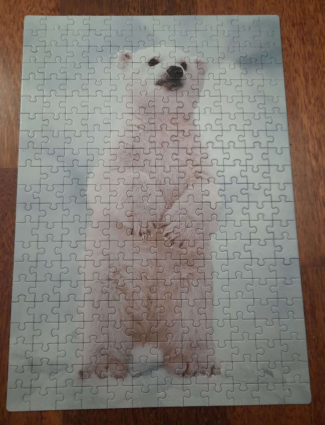 Puzzle Clementoni WWF 250