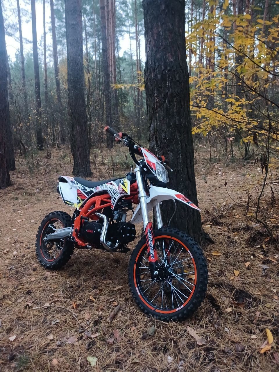 Bse sp 04 enduro