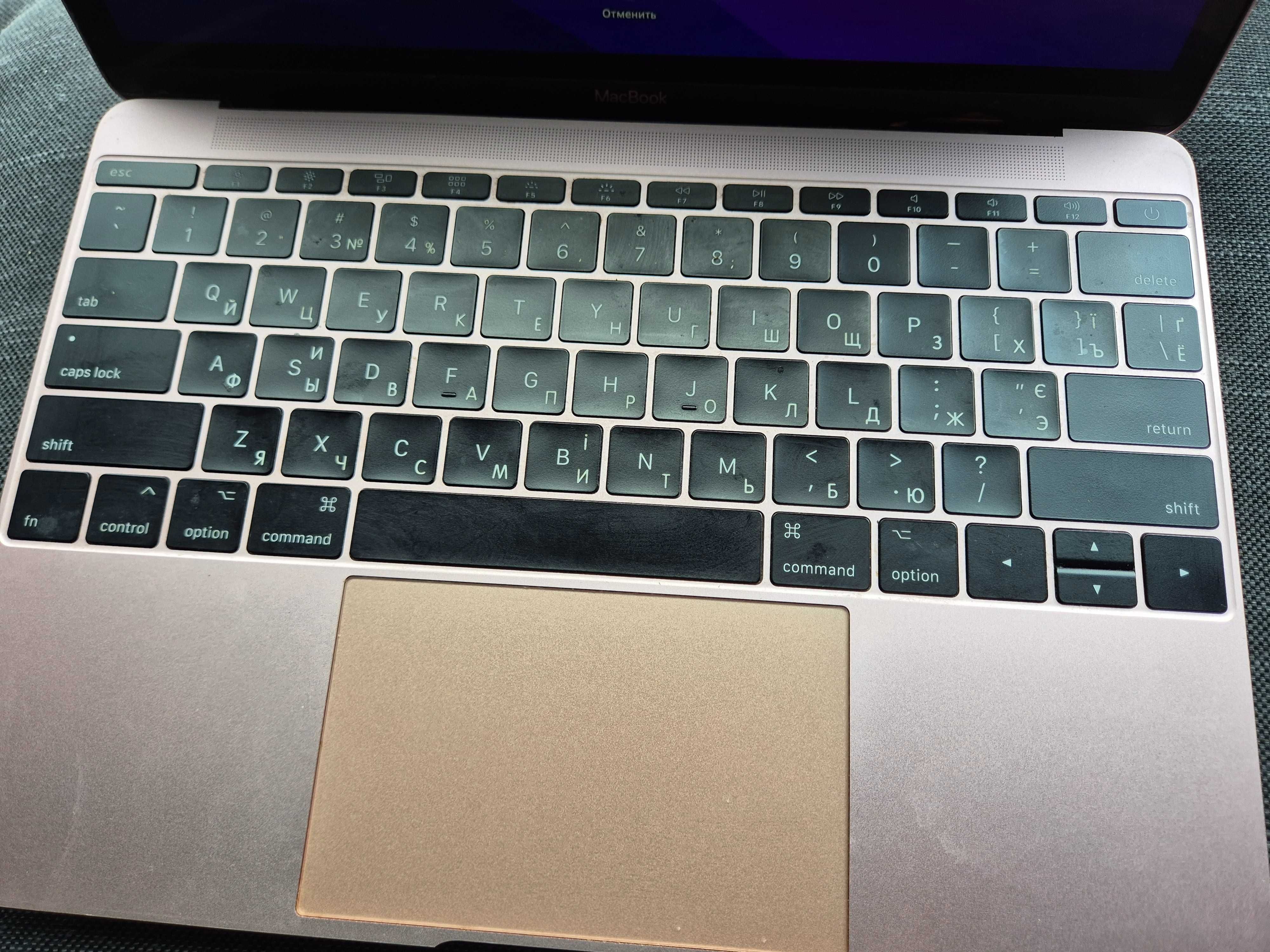 Macbook (Retina, 12-inch, 2017)