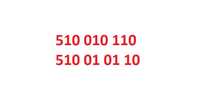 złoty numer 510.010.110