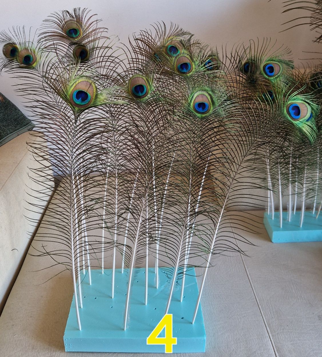 Penas de pavão azul