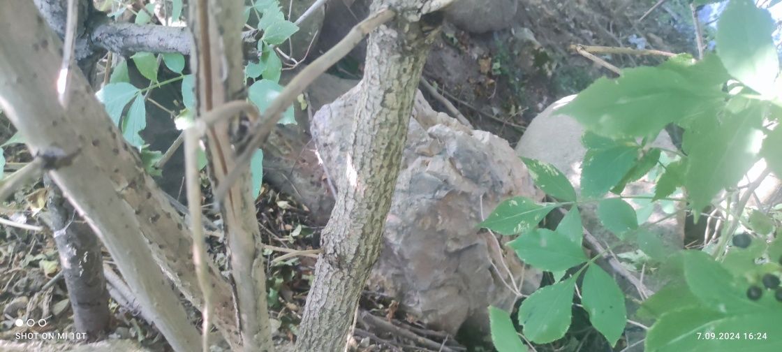 Kamień polny naturalny różnej wielkości, głazy