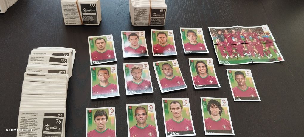 Panini 2006/2007     Euro 2008