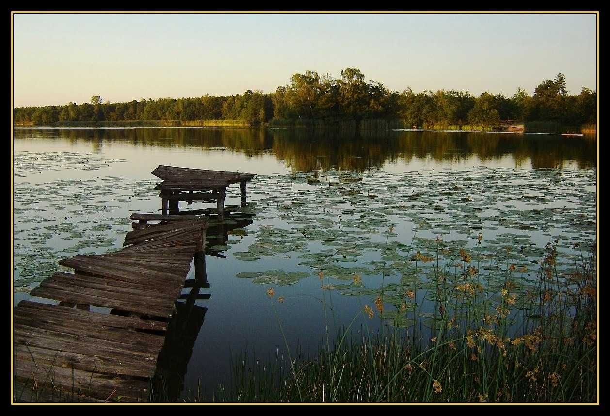 Domki nad jeziorem Pokoje Noclegi własna plaża  Wieleń k/Boszkowo