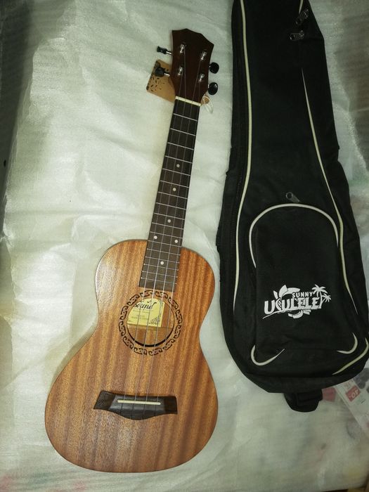 Ukulele concerto Sound