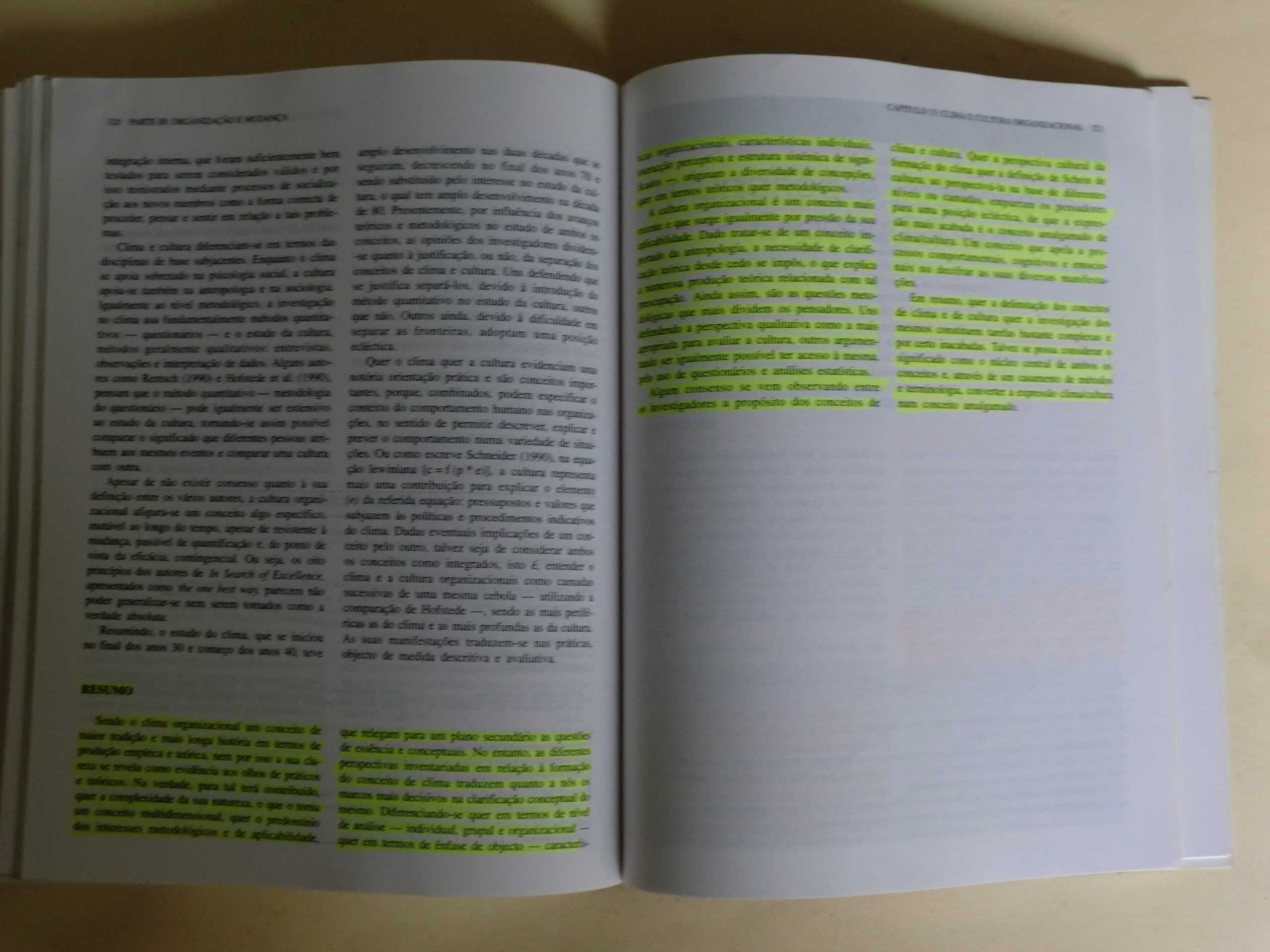 Psicossociologia das Organizações
de J.M.Carvalho Ferreira, José Neves
