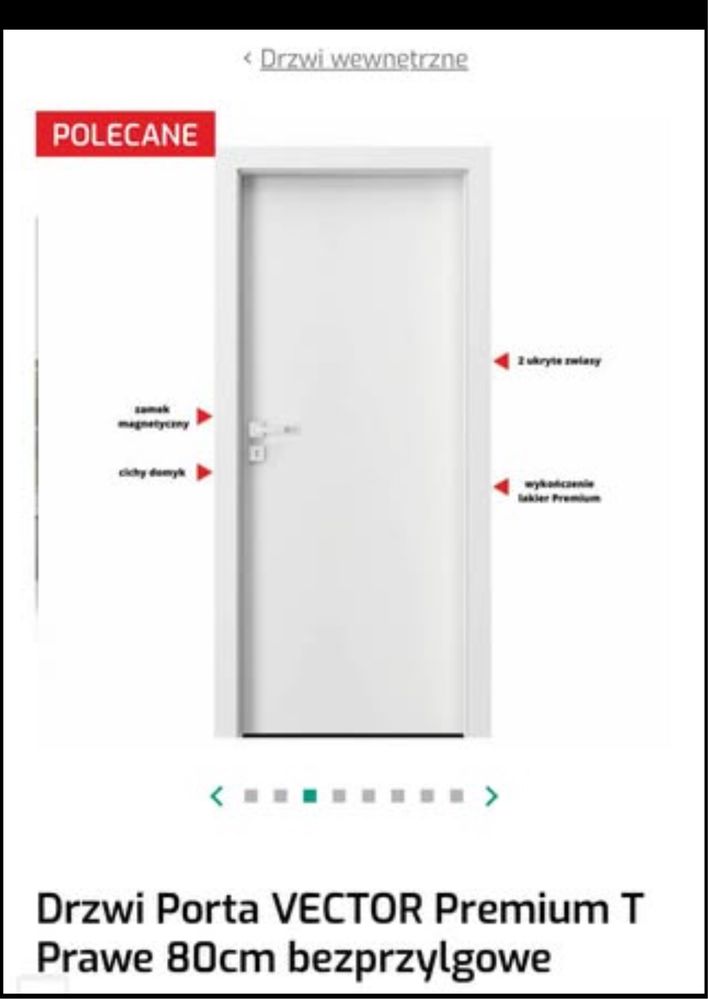 DZRZWI Porta VECTOR LEWE 80 Bezprzylgowe