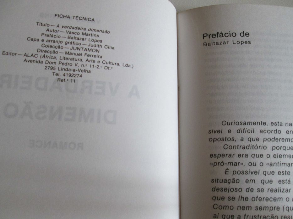 A Verdadeira Dimensão, de Vasco Martins