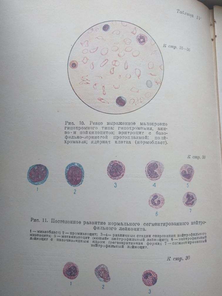 Предтеченский Методи лабораторних исследований,1935р.
