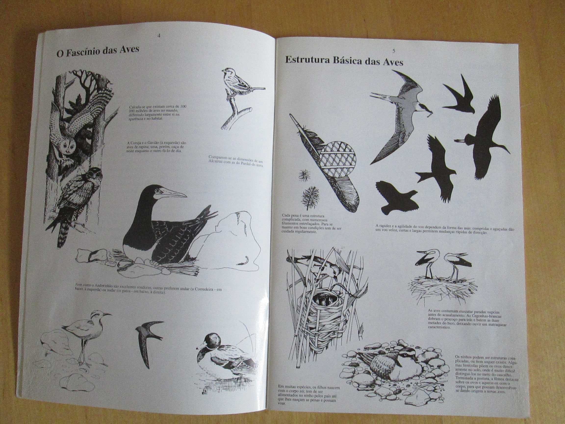Aves de  Cabo Verde
