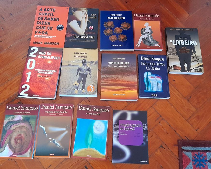 Lote de Livros Usados