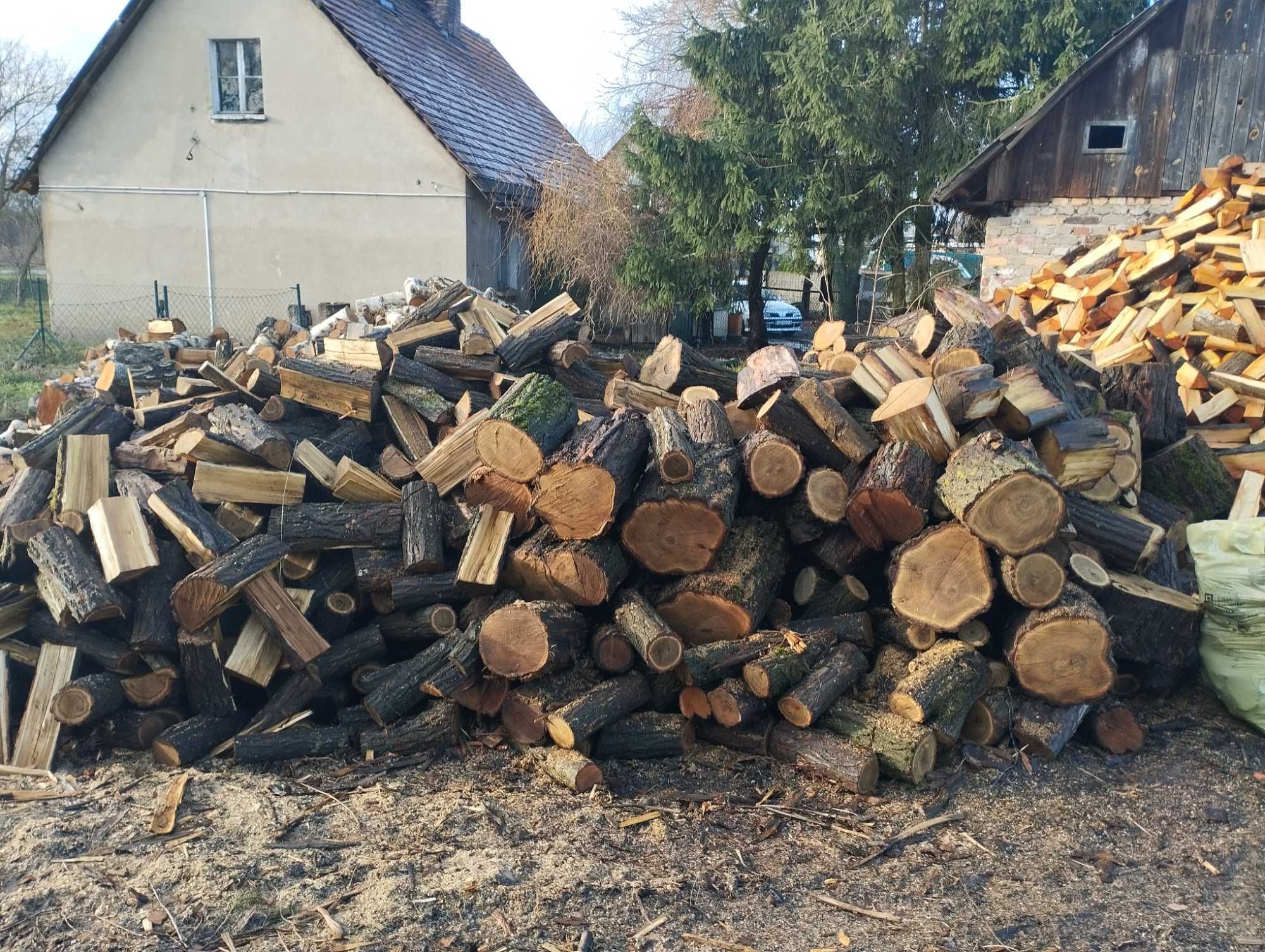 Wierzba olcha brzoza OPAL liściasty kominkowy w klockach