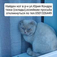 Найден Кот в р-н ул.Юрия Кондратюка(склады)