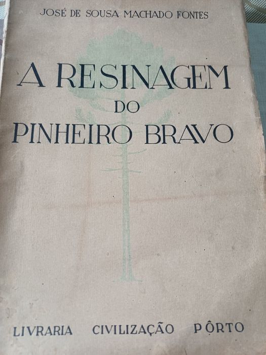 Resinagem do pinheiro bravo