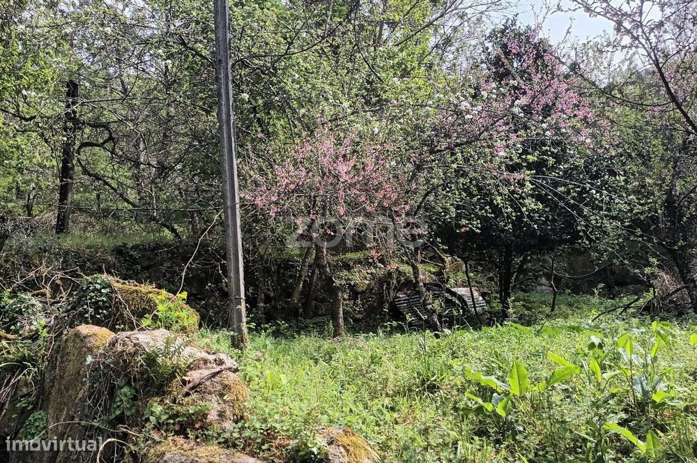 Terreno Rustico em Vieira do Minho