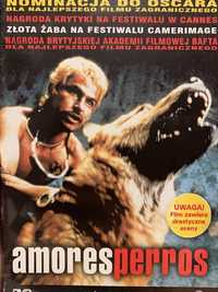 Amores perros dvd