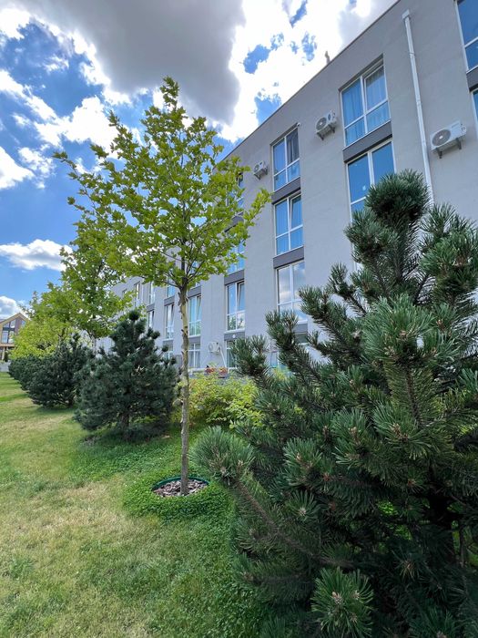 1-кімнатна квартира 27,16 м² з панорамними вікнами у ЖК Sanville Park