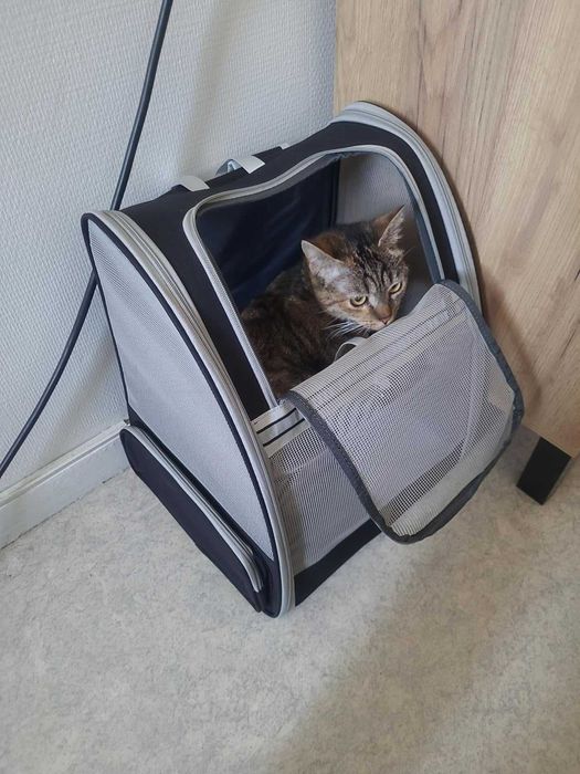 Plecak torba transportowa transporter dla psa kota zwierząt nosidełko