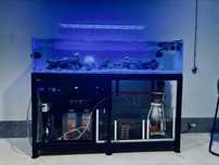 Akwarium 300l, sump,stelarz, sprzed i zycie doinwestowane