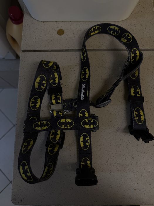 Szelki dla Psa Guard Bat Dog Psiakrew