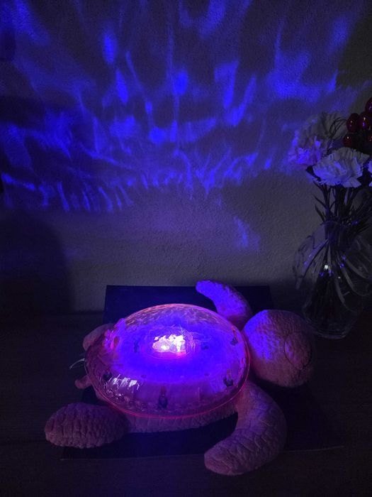 Projektor z pozytywką żółwik