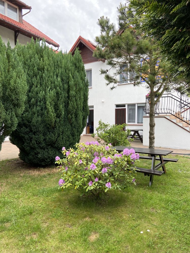 Pokoje nad morzem! Dźwirzyno, cisza i spokój WOLNE MIEJSCA od 1.06