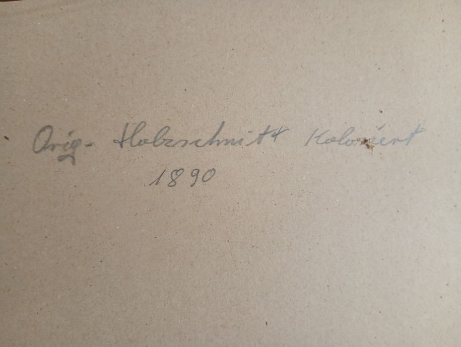 Drzeworyt rycina piękna duża