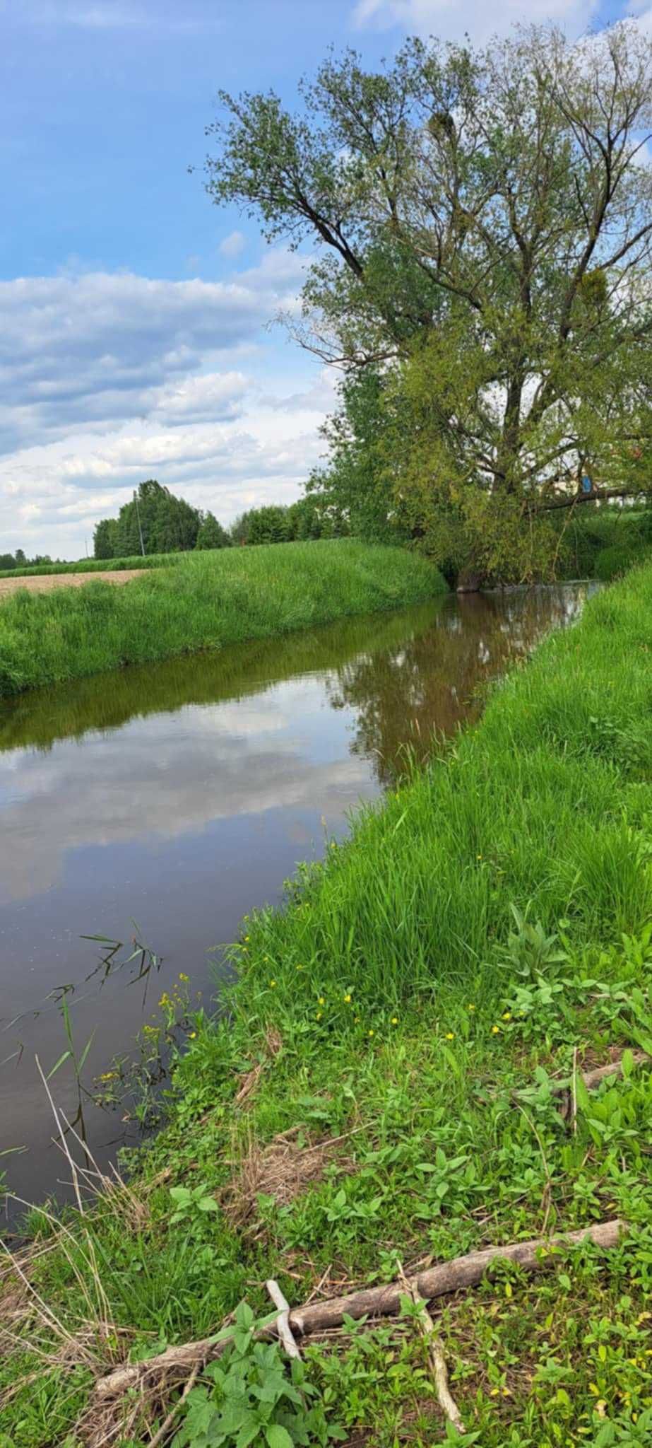 Dom, siedlisko- działka rolna nad rzeką Świnką Turowola, gm. Puchaczów