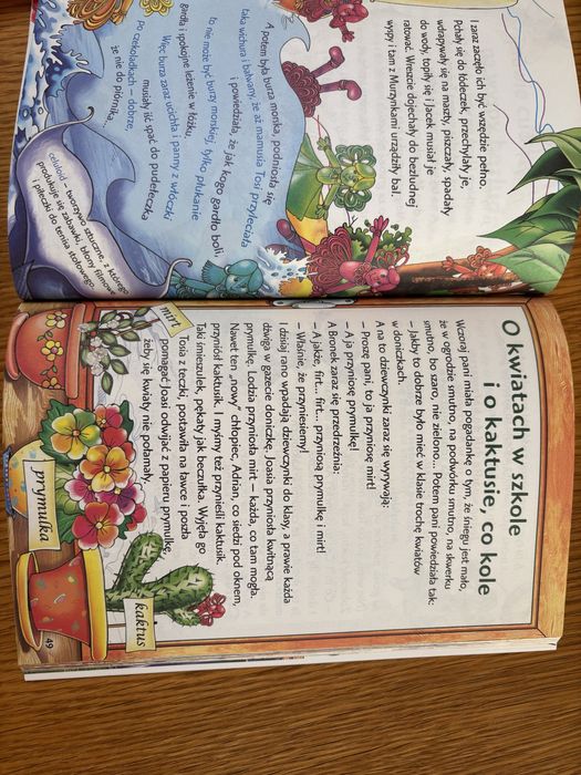 Plastusiowy paniętnik