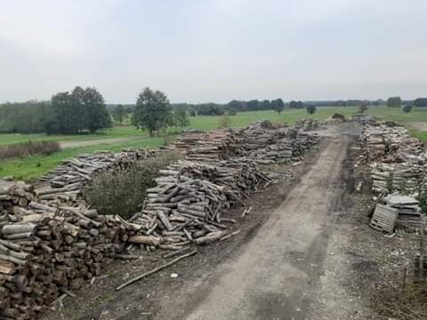 Drewno opałowe Drzewo kominek (Sędziszów, Sokołów, Tarnobrzeg, Padew n