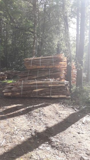 Obrzyny Tartaczne  (Opał Tartaczny Sosna,Świerk)